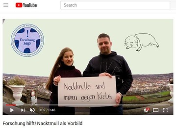 Nacktmull-Startbild